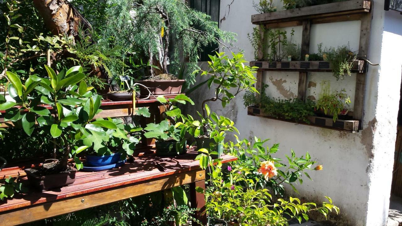 Casa Coimbra 호텔 외부 사진