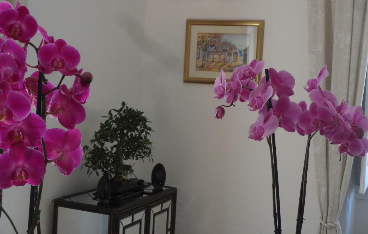 Casa Coimbra 호텔 외부 사진
