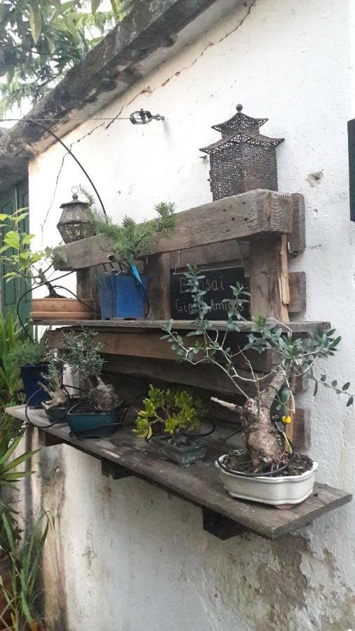 Casa Coimbra 호텔 외부 사진